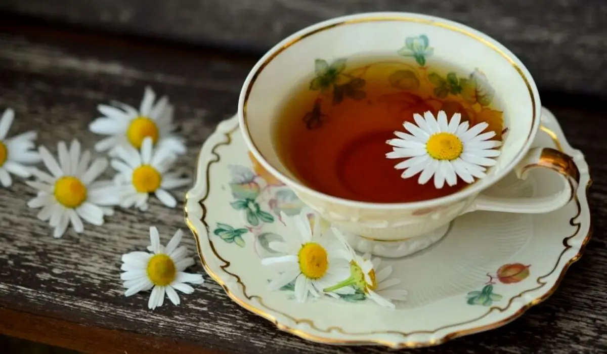 Chamomile Tea Benefits Sexually